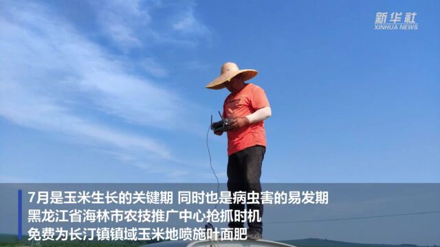 黑龙江海林:无人机喷施叶面肥助农增收