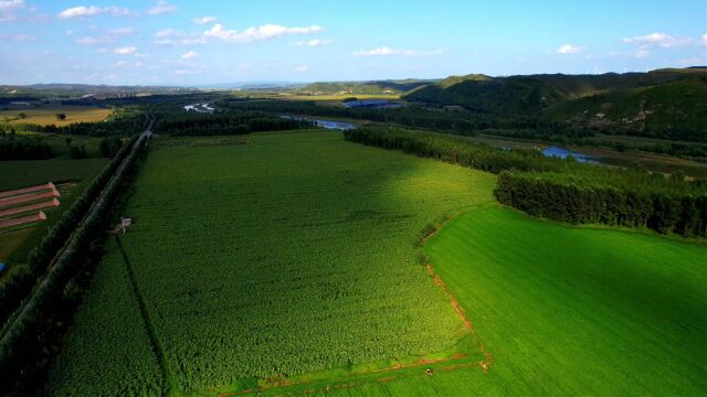 北方夏天震撼美景登场 大地如绿洲般壮观