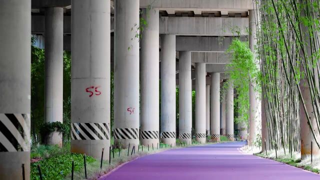 昆明滇池绿道—环草海桥下空间段建设项目对外开放