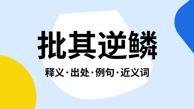 “批其逆鳞”是什么意思?