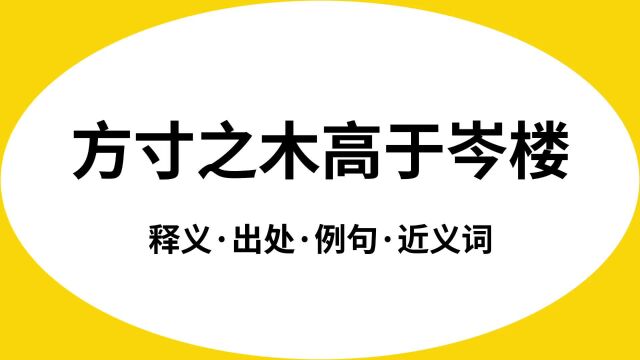 “方寸之木高于岑楼”是什么意思?