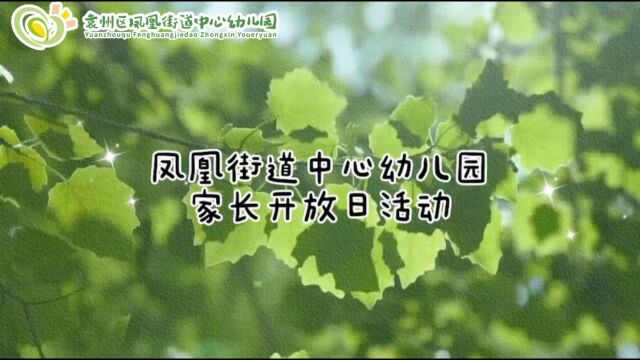 凤凰街道中心幼儿园家长开放日