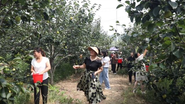 郓城:农旅融合发展 秋季乡村采摘忙