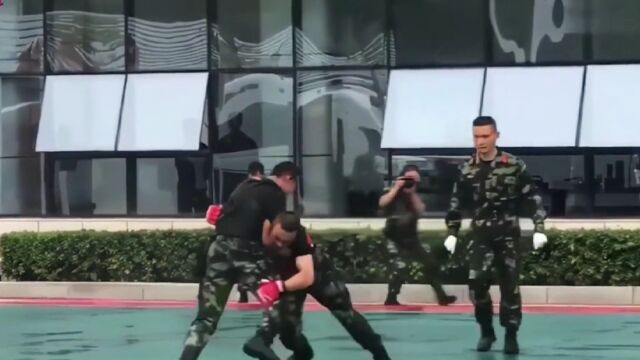 武警实战能力怎么样?能打几个普通人,能不能打得过职业选手?