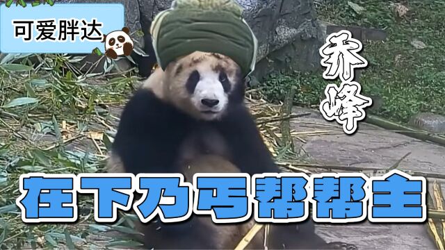 此乃江湖中《横行霸道》的第一大帮派!