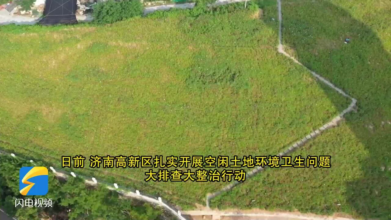 济南高新区:空闲土地变身城市“桃花源”