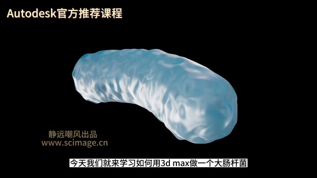 【教程】3D Max 大肠杆菌的制作(3D MAX软件)