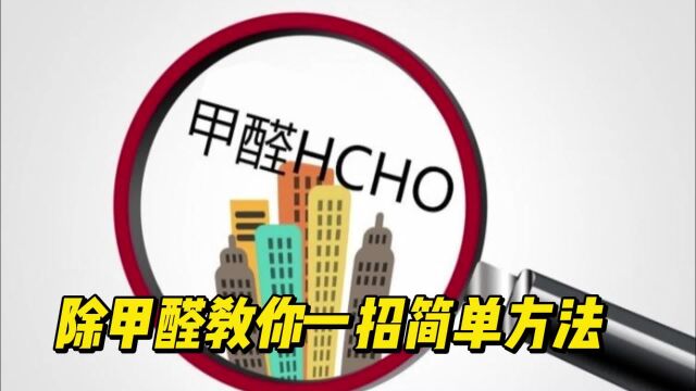 “甲醛大户”已被揪出:这4物别带家里,每天都“释放着甲醛”