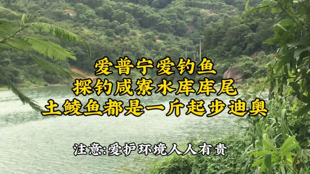 探钓咸寮水库库尾:土鲮鱼都是一斤起步迪奥!