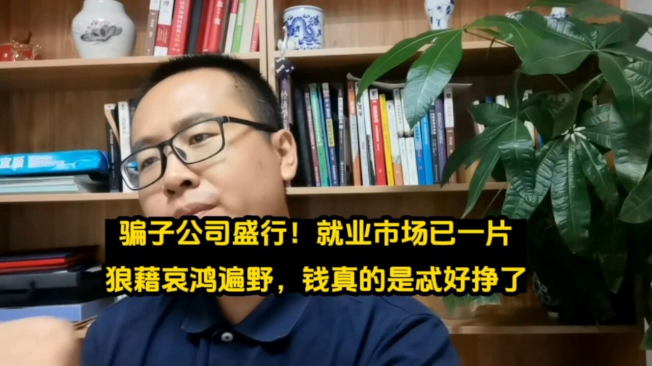 骗子公司盛行!就业市场已一片狼藉哀鸿遍野,都该怎么办?