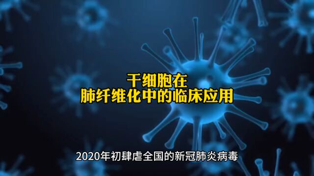 干细胞在肺纤维化中的临床应用