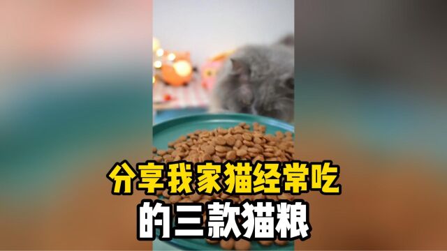 猫粮分享篇,分享我家猫经常吃的三款猫粮