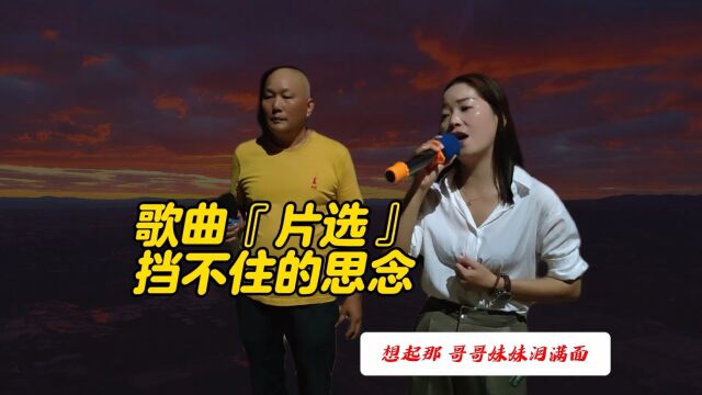 武汉豹澥街王华平 刘小庆演唱:挡不住的思念