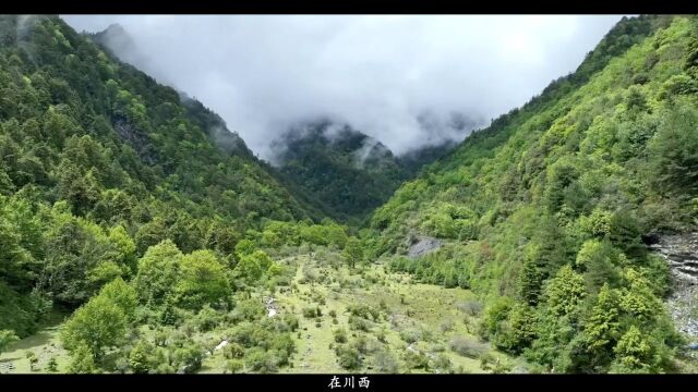 理县休溪村小众露营地,海拔2600左右,距离成都三小时,可以收藏起来哦.