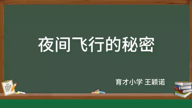 夜间飞行的秘密 第二课时