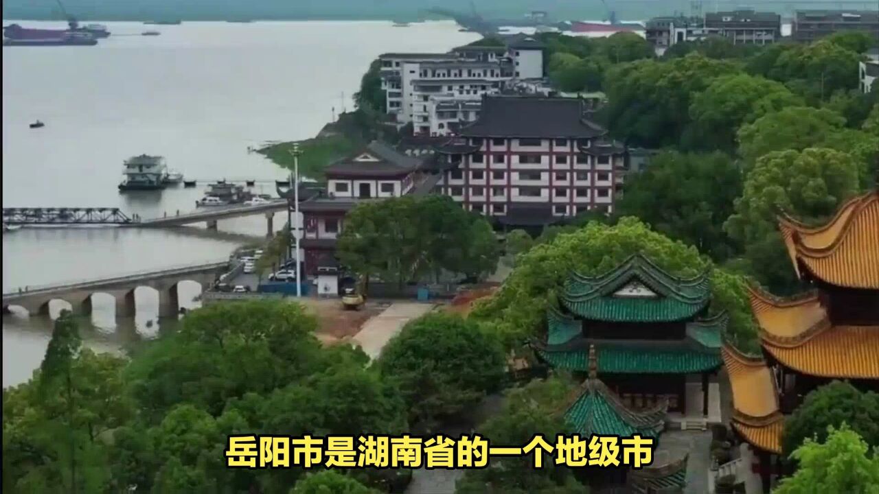 去岳阳旅游,这8大特色美食别错过,湘味十足,看完肚子都饿了