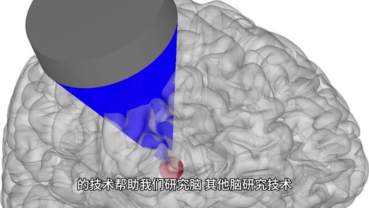 口袋心理学小课堂——脑研究