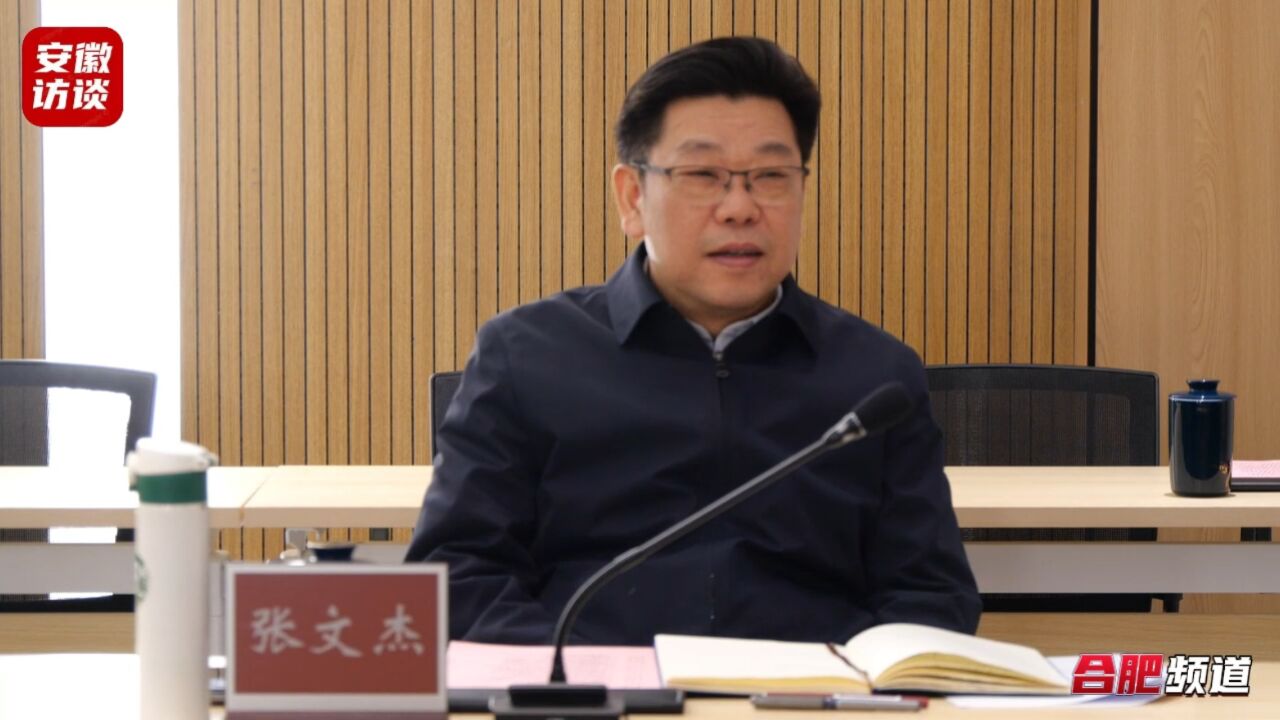 温州市代市长张文杰赴合肥市温州商会调研 共叙浓浓乡情 共商发展大计