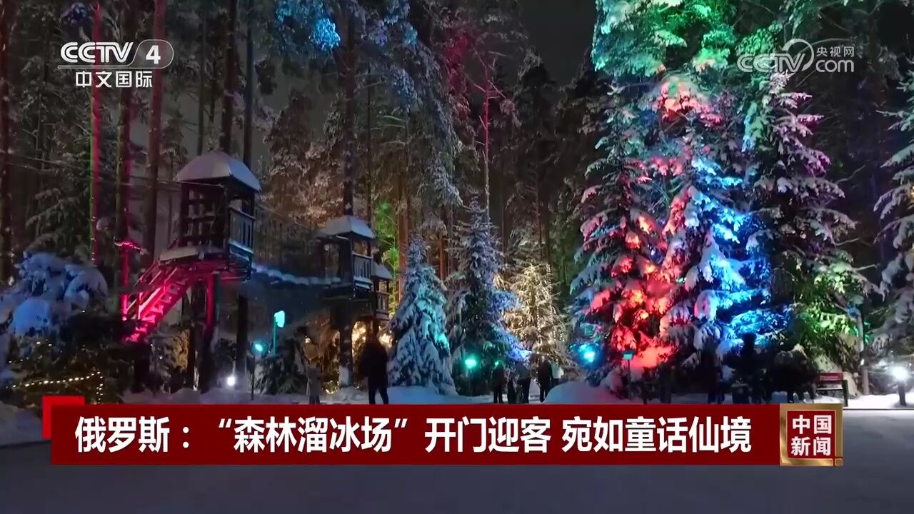 俄罗斯:“森林溜冰场”开门迎客 宛如童话仙境