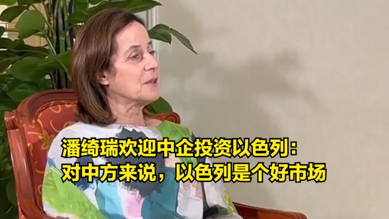 潘绮瑞欢迎中企投资以色列:对中方来说,以色列是个好市场