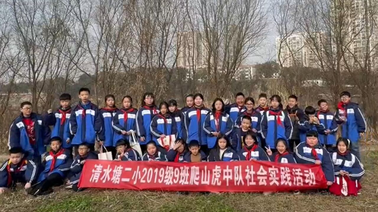 为如画风景祛除“污点” 清水塘二小爬山虎中队开展环保社会实践活动