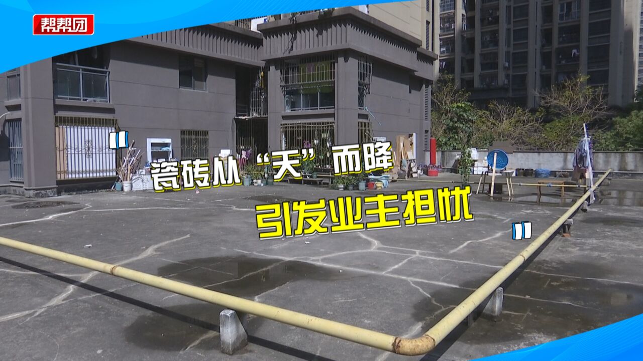 瓷砖从天而降碎片砸破花盆 业主吓坏 物业:已第一时间介入排查