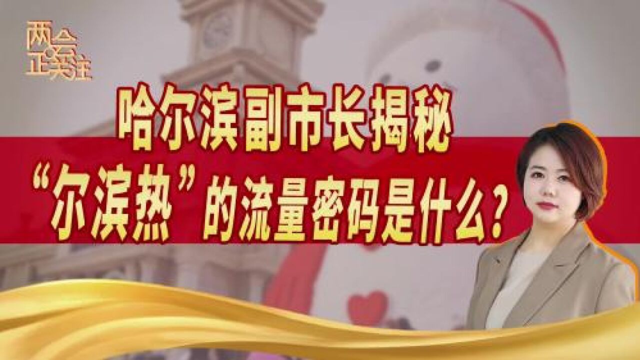 两会正关注|哈尔滨副市长揭秘:“尔滨热”的流量密码是什么?