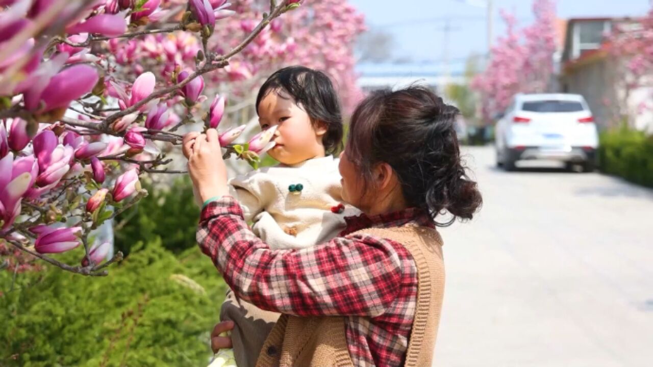 视频|威海经开区:百花绽放俏争春