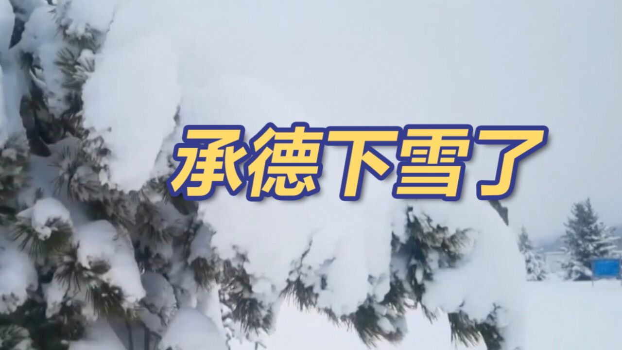 快立夏了,承德的雪还下得那么认真