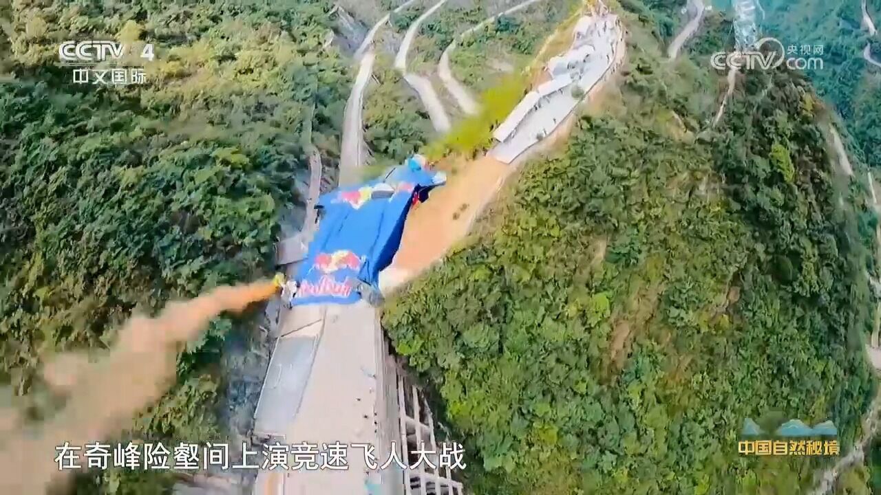 探寻世界文明旅行地张家界:中国最大大鲵保护区的秘境之旅