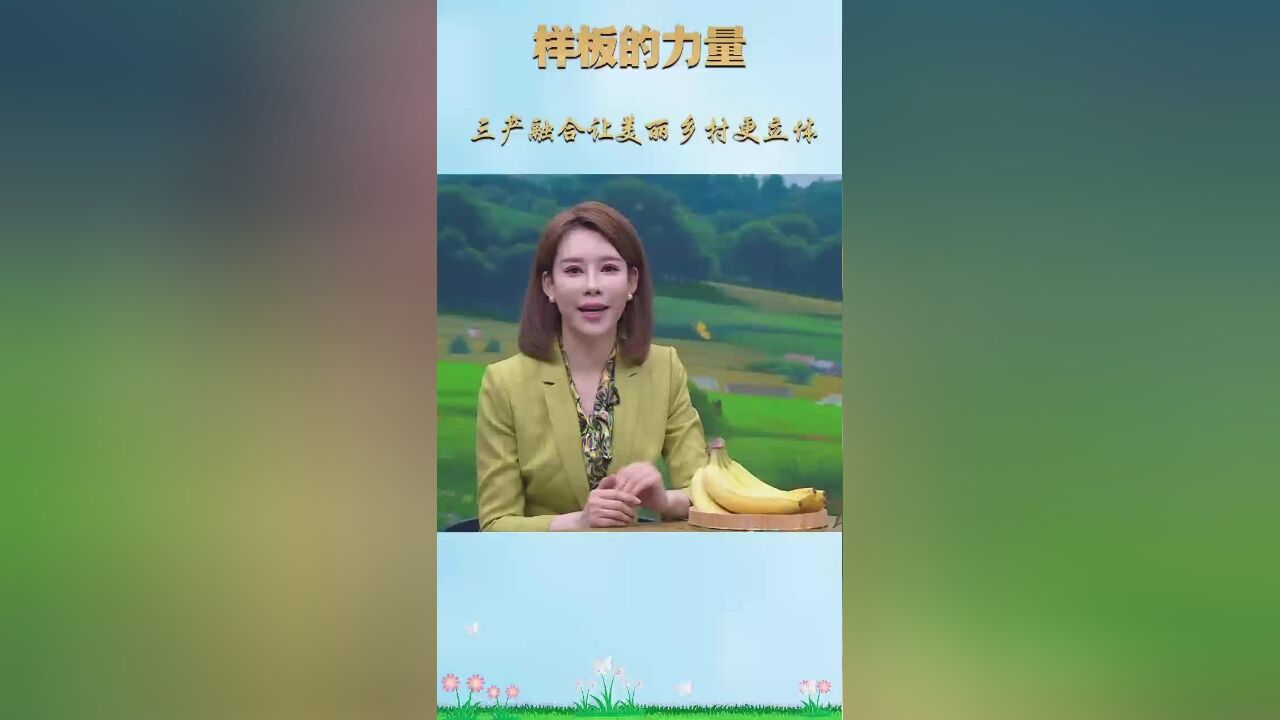 样板的力量|三产融合让美丽乡村更立体