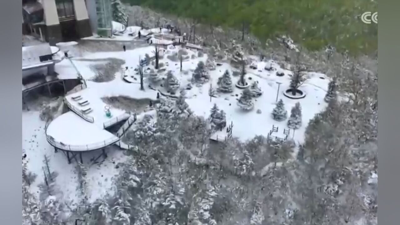 罕见!韩国江原道山区5月飘雪,农作物受灾