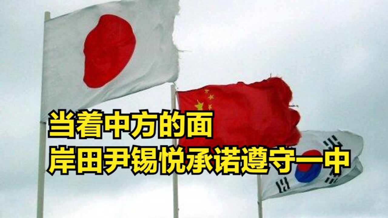 第9次中日韩领导人会议,当着中方的面,岸田尹锡悦承诺遵守一中