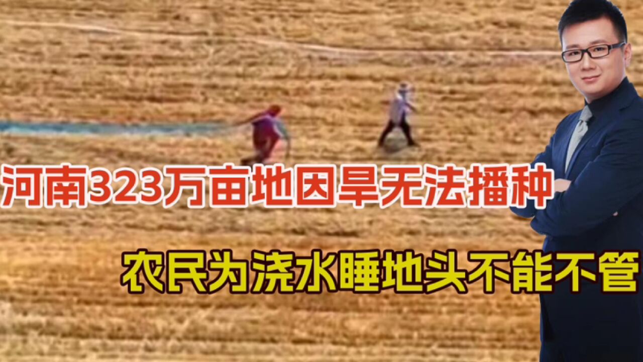 河南干旱严峻,323万亩地无法播种,农民为浇水睡地头,不能不管