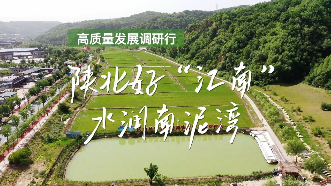 高质量发展调研行|陕北好“江南” 水润南泥湾