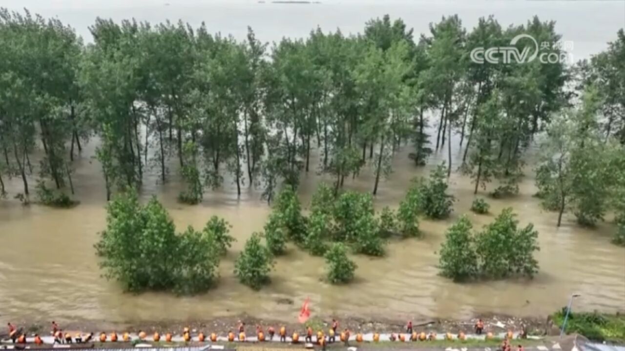 直击防汛一线,江西九江:江新洲水位持续上涨,应征青年上堤抢险