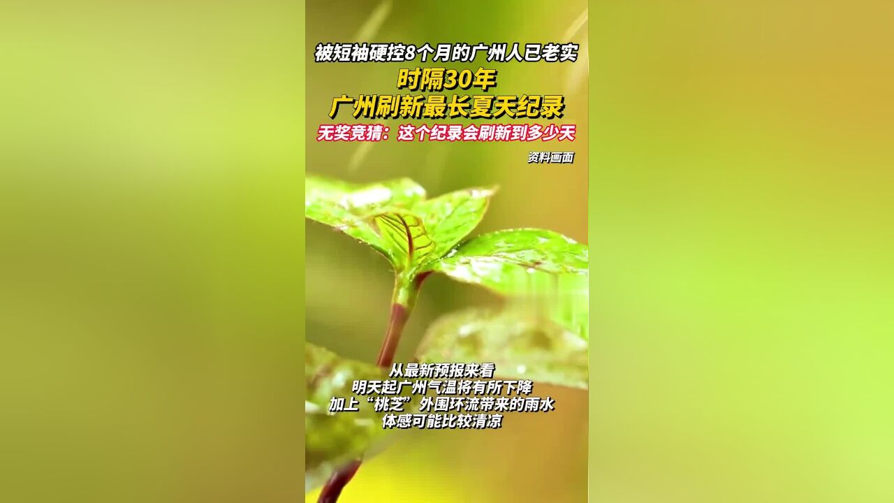 被短袖硬控8个月的广州人已老实,时隔30年,广州刷新最长夏天纪录,无奖竞猜:这个纪录会刷新到多少天