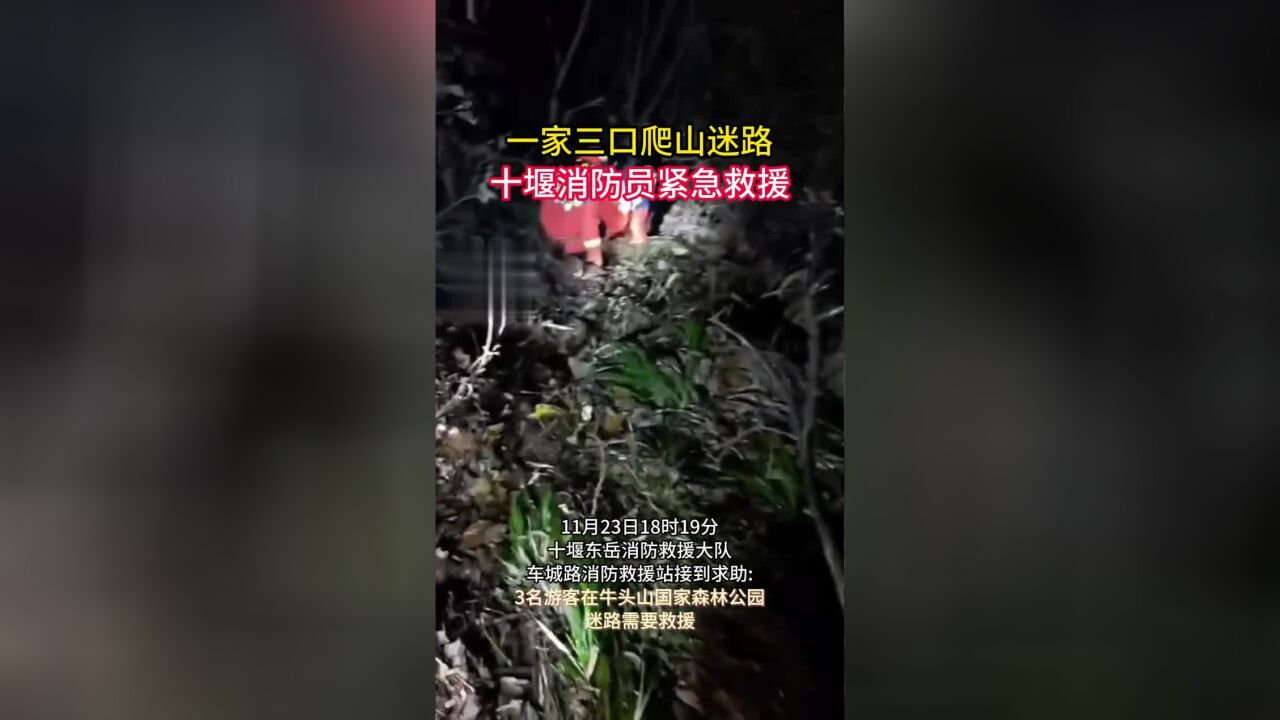 一家三口爬山迷路,十堰消防员紧急救援