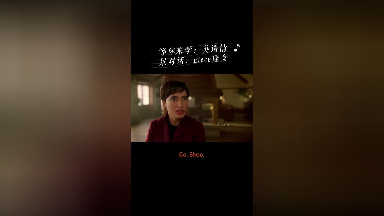 等你来学:英语情景对话,niece侄女