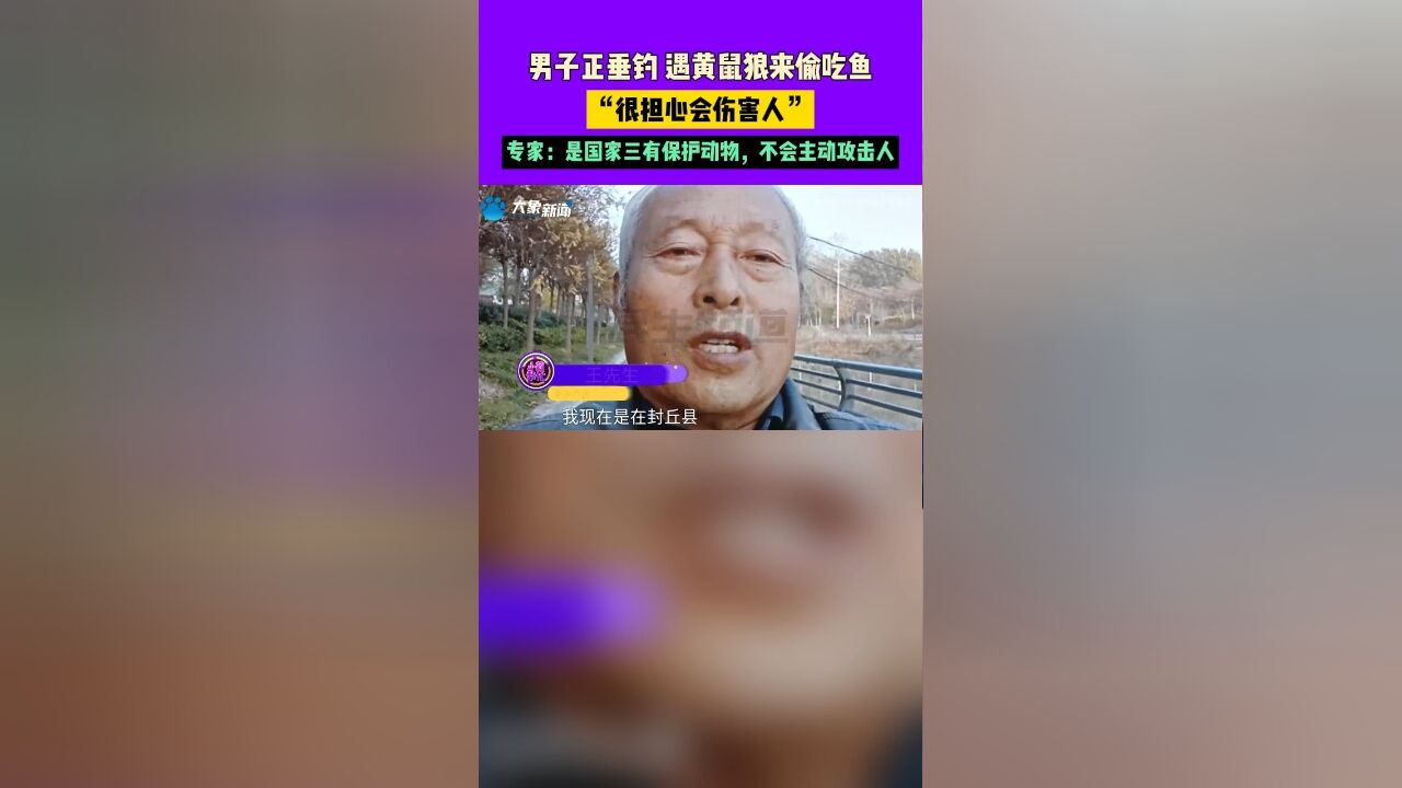 男子正垂钓,遇黄鼠狼来偷吃鱼,“很担心会伤害人”,专家:是国家三有保护动物,不会主动攻击人