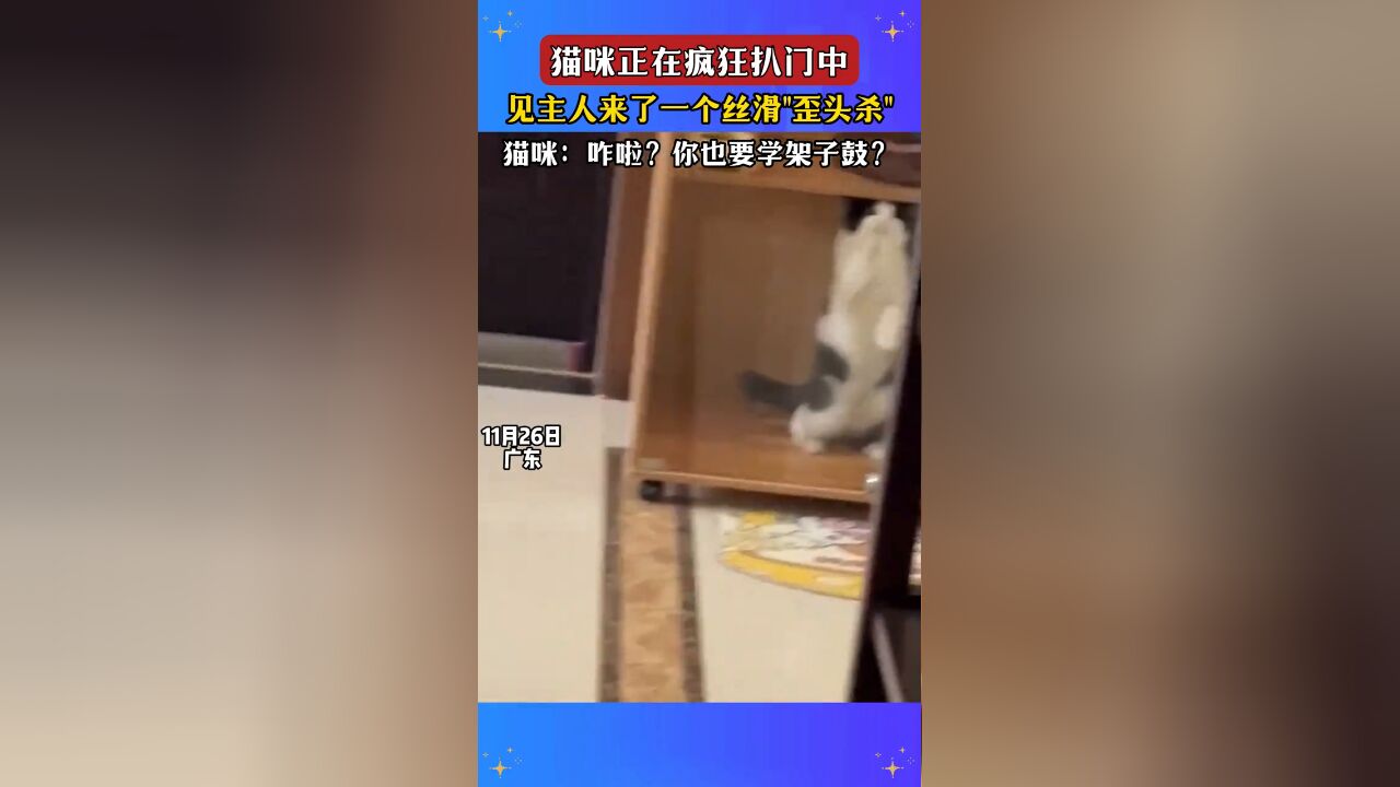 猫咪正在疯狂扒门中,见主人来一个丝滑"歪头杀",猫咪:咋啦?