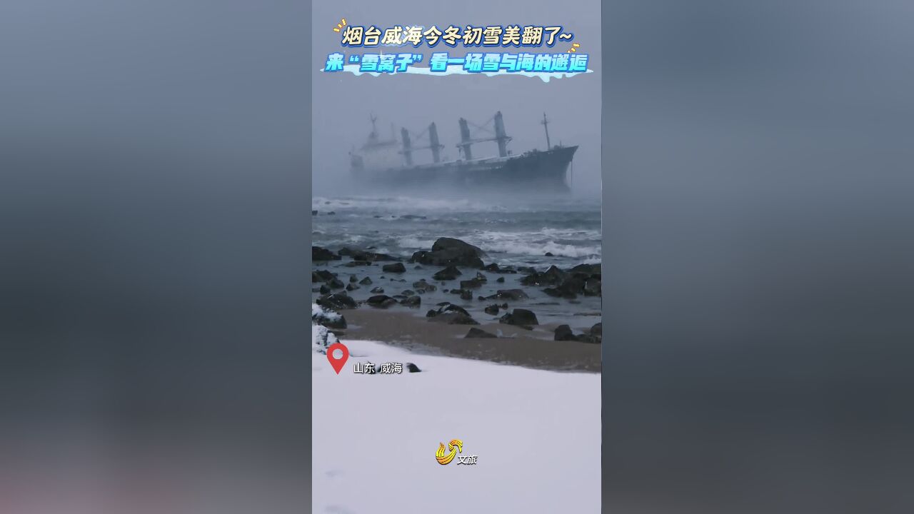 烟台威海今冬初雪美翻了~来“雪窝子”看一场雪与海的邂逅