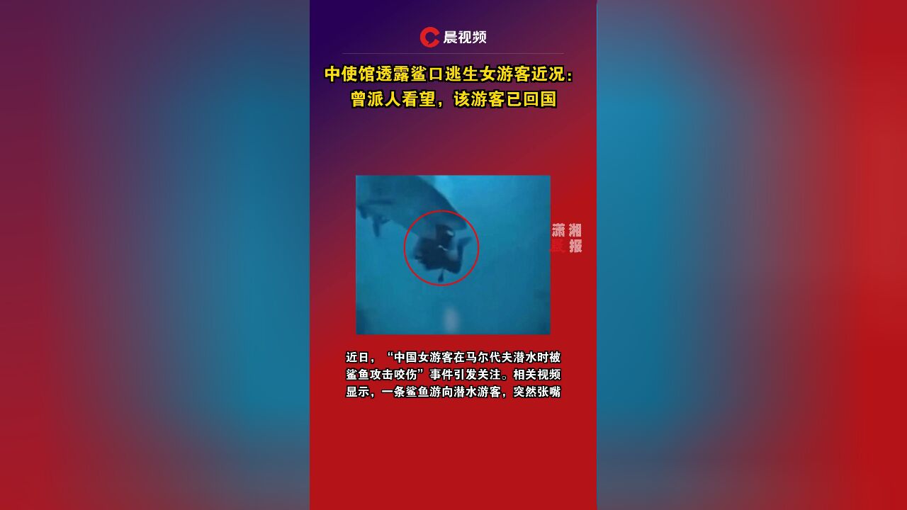 中使馆透露鲨口逃生女游客近况:曾派人看望,该游客已回国