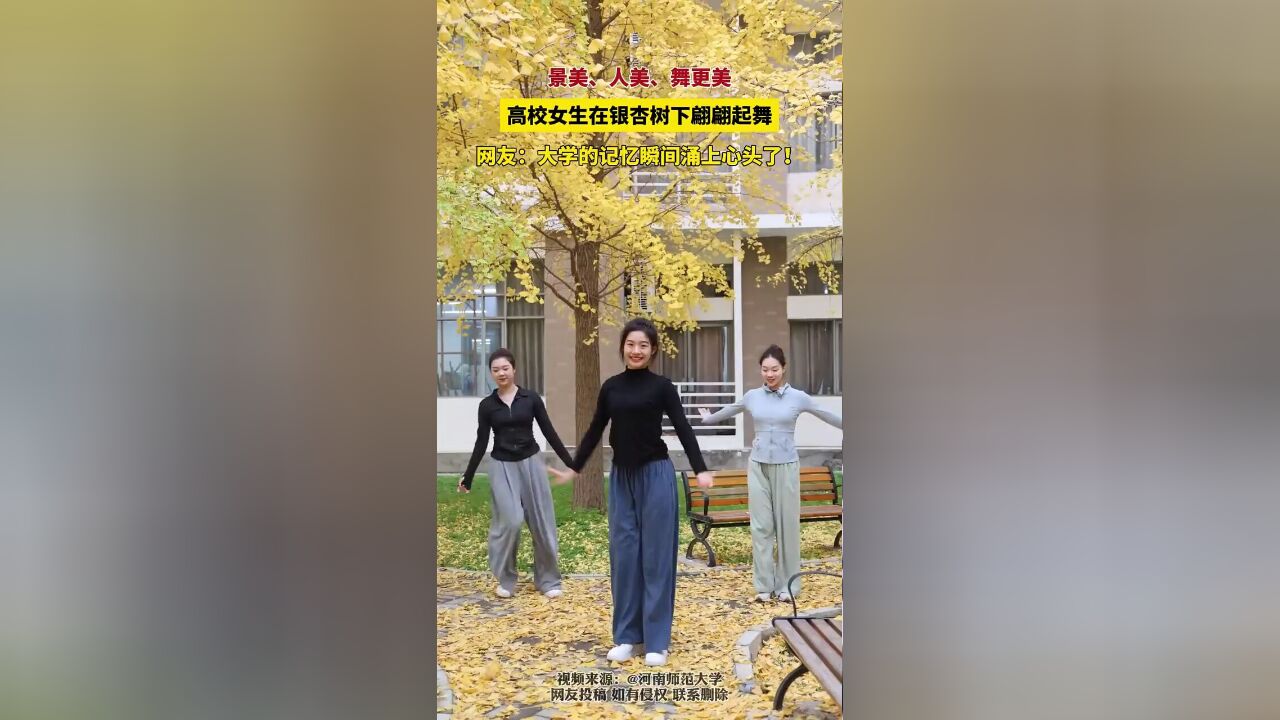 景美人美舞更美!高校女生在银杏树下翩翩起舞,点染、温暖初冬