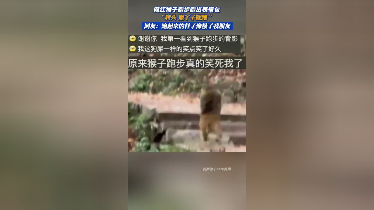 网红猴子跑步跑出表情包