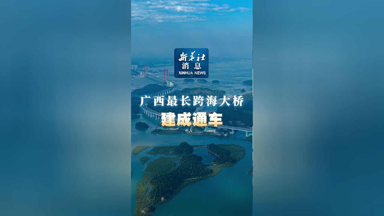 新华社消息|广西最长跨海大桥龙门大桥建成通车