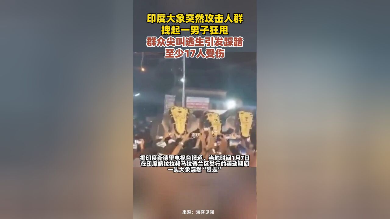 印度大象突然攻击人群,拽起一男子狂甩,群众尖叫逃生引发踩踏