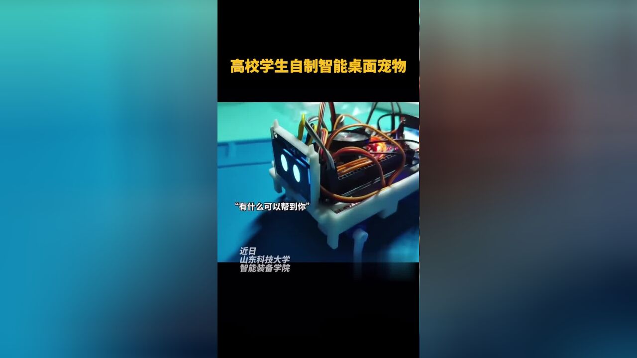 高校学生自制智能桌面宠物