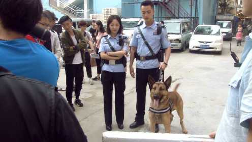 《警犬来啦》独家花絮：杨蓉专访 跟警犬搭戏有点小怕怕