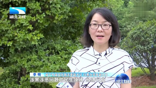 扫黑除恶进行时 咸宁严惩暴力垄断生猪市场涉黑涉恶团伙